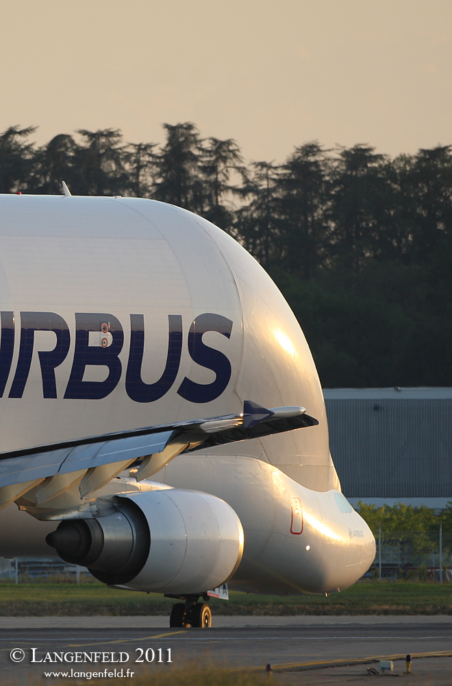 Beluga No1 new titles